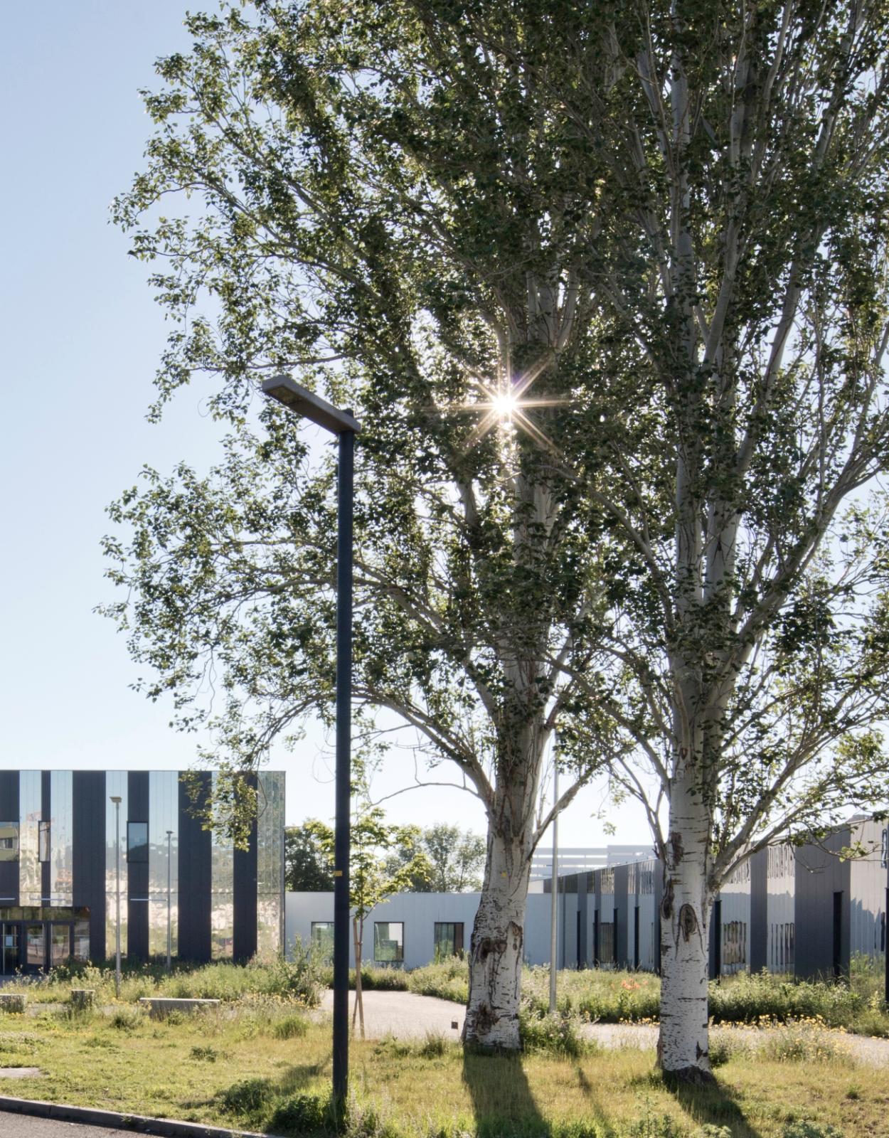 16118_pole_bio_clermont_exterieur_10.jpg